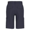 Gmt dye poplin cargo shorts