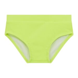 Swim brief