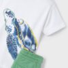 Conj. turtle