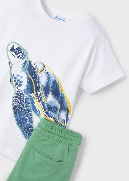 Conj. turtle