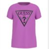 Ss t-shirt_core