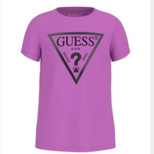 Ss t-shirt_core