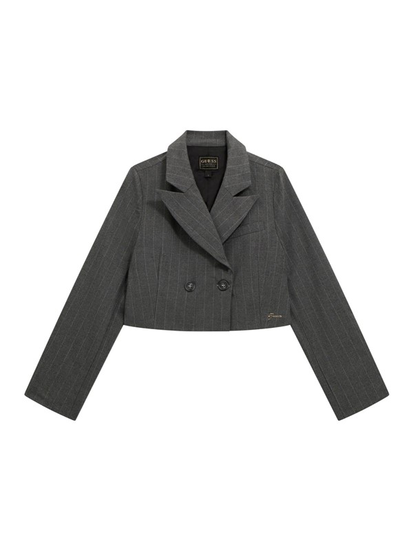 Pinstripe blazer