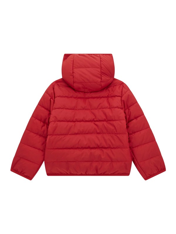 Hooded ls padded puffer w/zip
