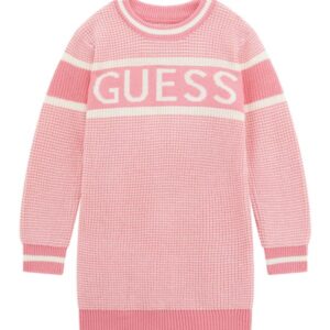 Ls sweater dress