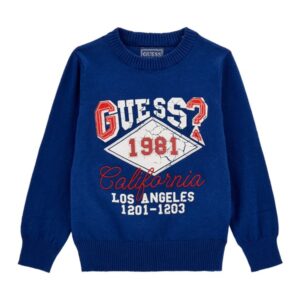 Ls sweater