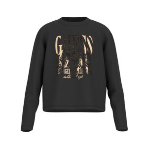 Ls t-shirt