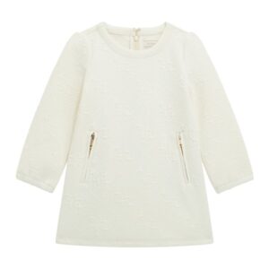 Jacquard ls a line dress