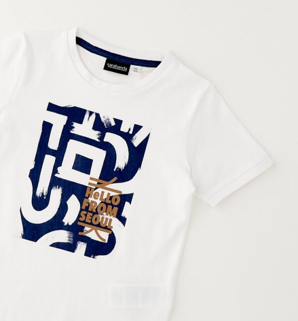 Tee shirt