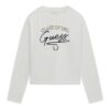 Ls t-shirt_logo