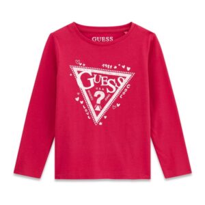 Ls t-shirt_logo
