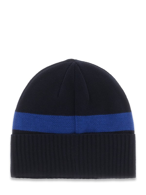 Beanie logo hat