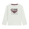 Ls t-shirt_logo