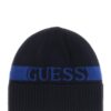 Beanie logo hat