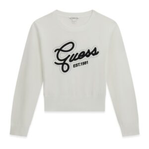 C7277285B38F8BF88814D17B37483320_ Ls sweater
