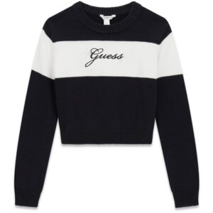 E7A98E7B125361C1FAFB2EB5B04605D9_ Crop ls sweater