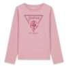 Ls t-shirt_logo