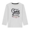 Ls t-shirt_logo