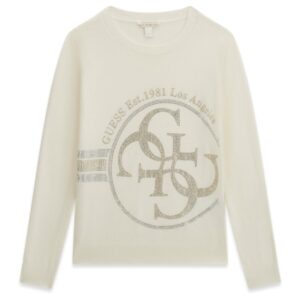 899DBC41804F2974BA4BC1759D882F78_ Ls sweater