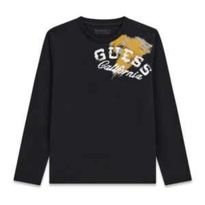 Ls t-shirt_logo