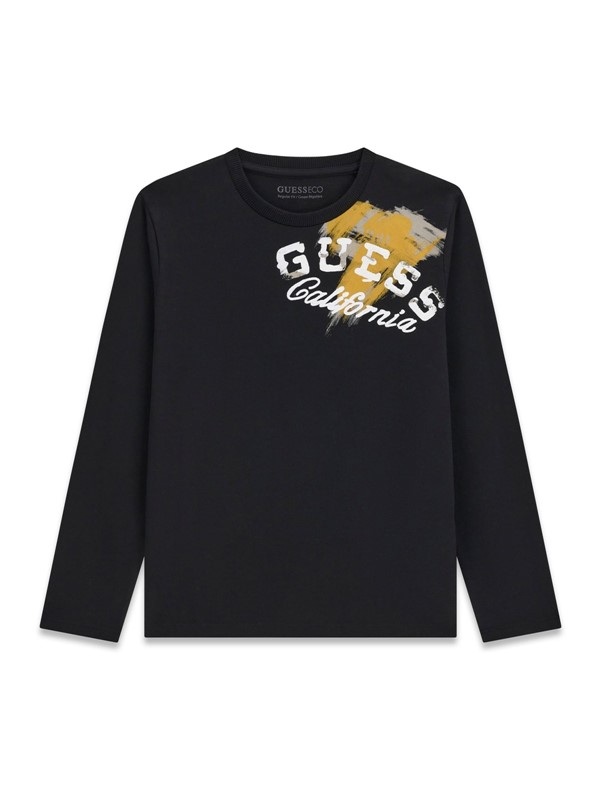 Ls t-shirt_logo