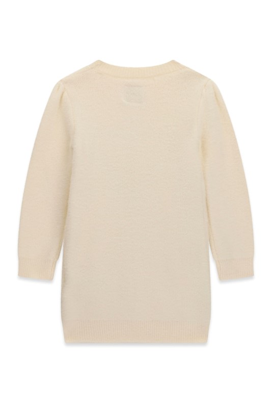 Ls sweater dress