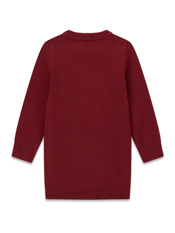 Ls sweater dress