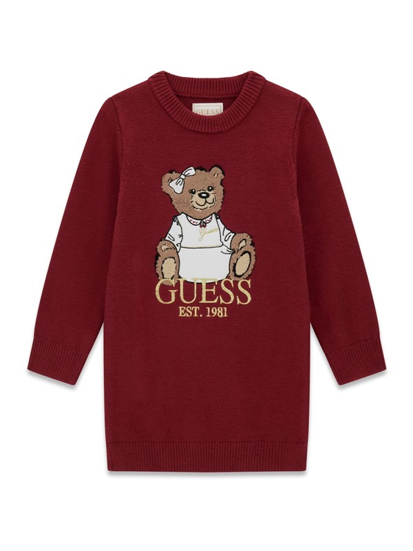 Ls sweater dress