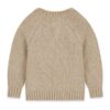 Ls raglan chenille sweater