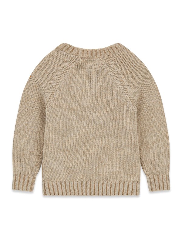Ls raglan chenille sweater